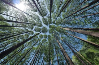 Notre fierté : Une fabrication française et respectueuse de l'environnement